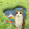 peww_000