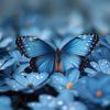butterfly14040