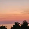 olcia_polcia22