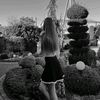 ann.toff