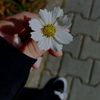 n_oor_r