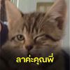 pimmy_323