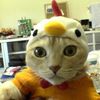 fluffycrime