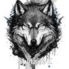 👑The Lone Wolf 👑