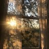 _nqs9