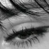 2008_kokee