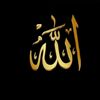 user4196706539654