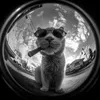 ii.nigar0