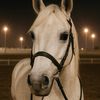 alhanouf067