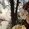 min_ya06