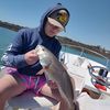 fletcher_2025