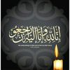 sabtainrizvi945