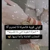 dswqty23