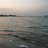 omomar_41