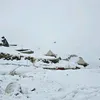 maksimus8564