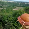 mariajosedasi6085