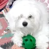 giovi_giovix