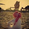 الدّغبااااوي ❥