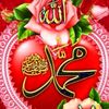 mujeeb.am2