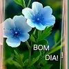aparecida642024