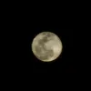 stillseeingstars