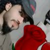 alqysyrdfangmail.co