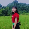 uyn.chipp35