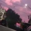 .oliveira743