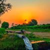 mughal.2601