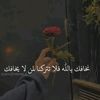 user5843859673216
