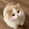 duongsuny3