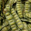 demitalas