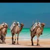 hosseinabditifow
