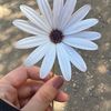 chococaramel_118