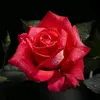user2313909084978