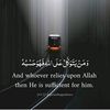 mustafamhamed346