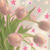 ayra_hssfamily