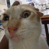 anak.pertama199710