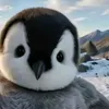 angela_x12