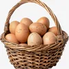 vipi_t_eggs