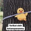 orangdusun___