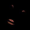mr.evilgaazaland