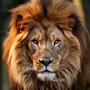tusach92