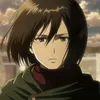 zebari_356