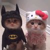 couplememeHUB