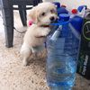 arouja.and.cooki.officel
