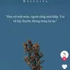 binhminhghh