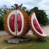 durian.merah220