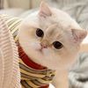 nan.htike.lwin1