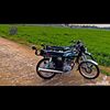 shabaz5536